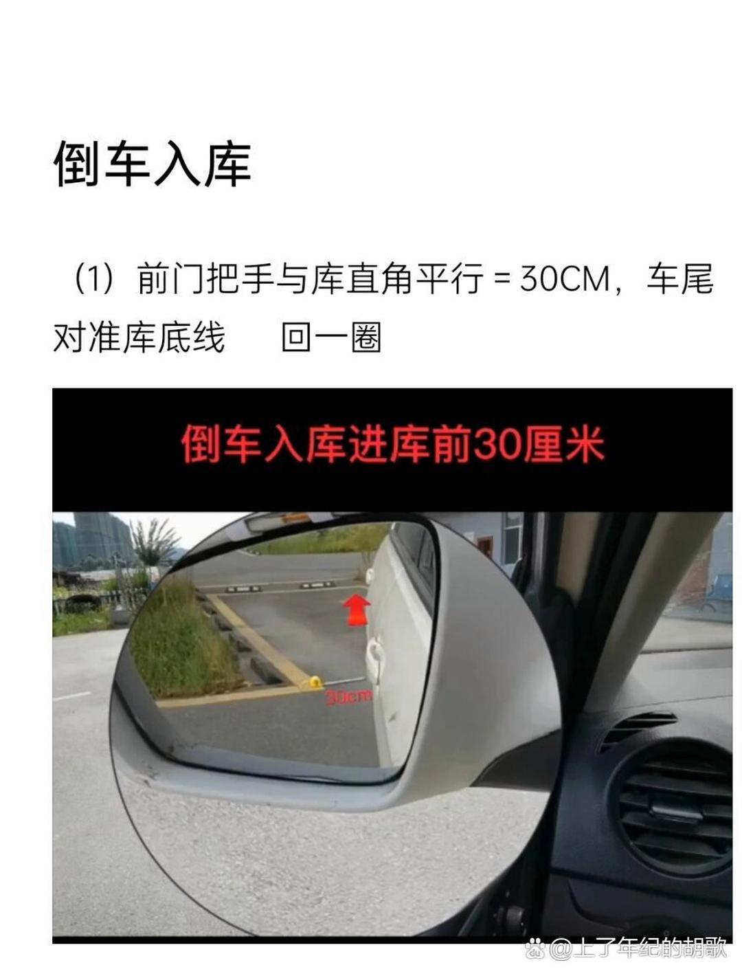 豌豆荚
